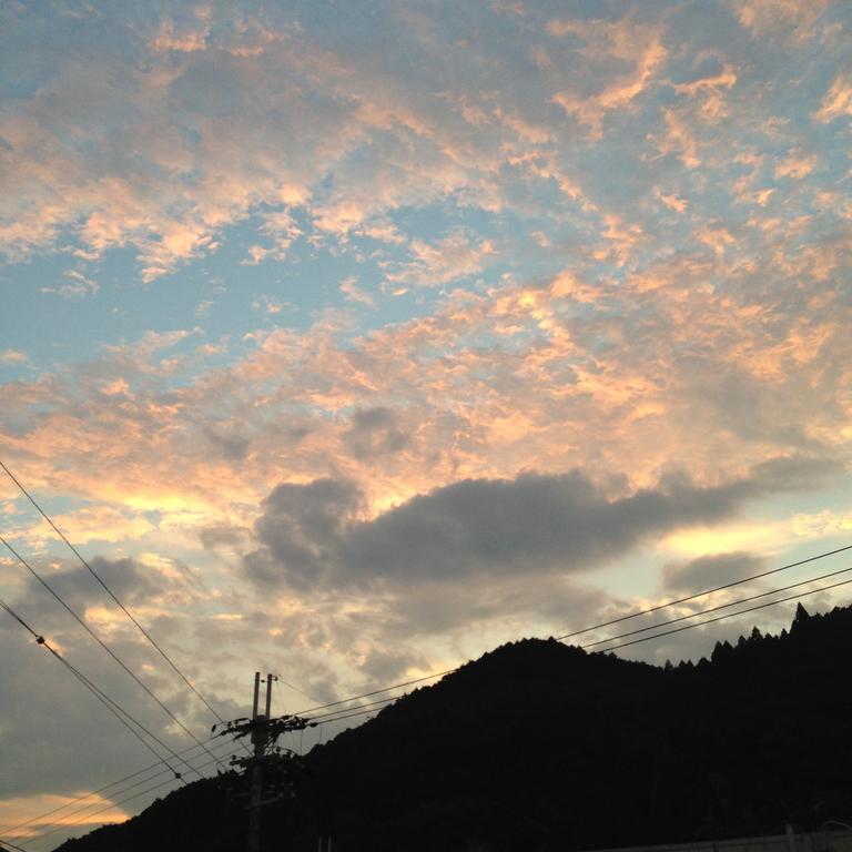 Hase Guesthouse Ittan Sakurai Buitenkant foto